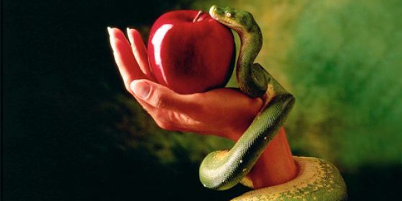 Человеческая еда превращается в яд