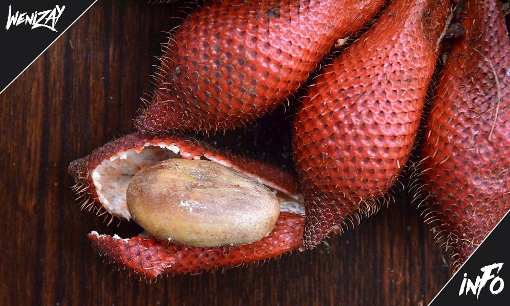 Ракум-салакка, Экзотические фрукты