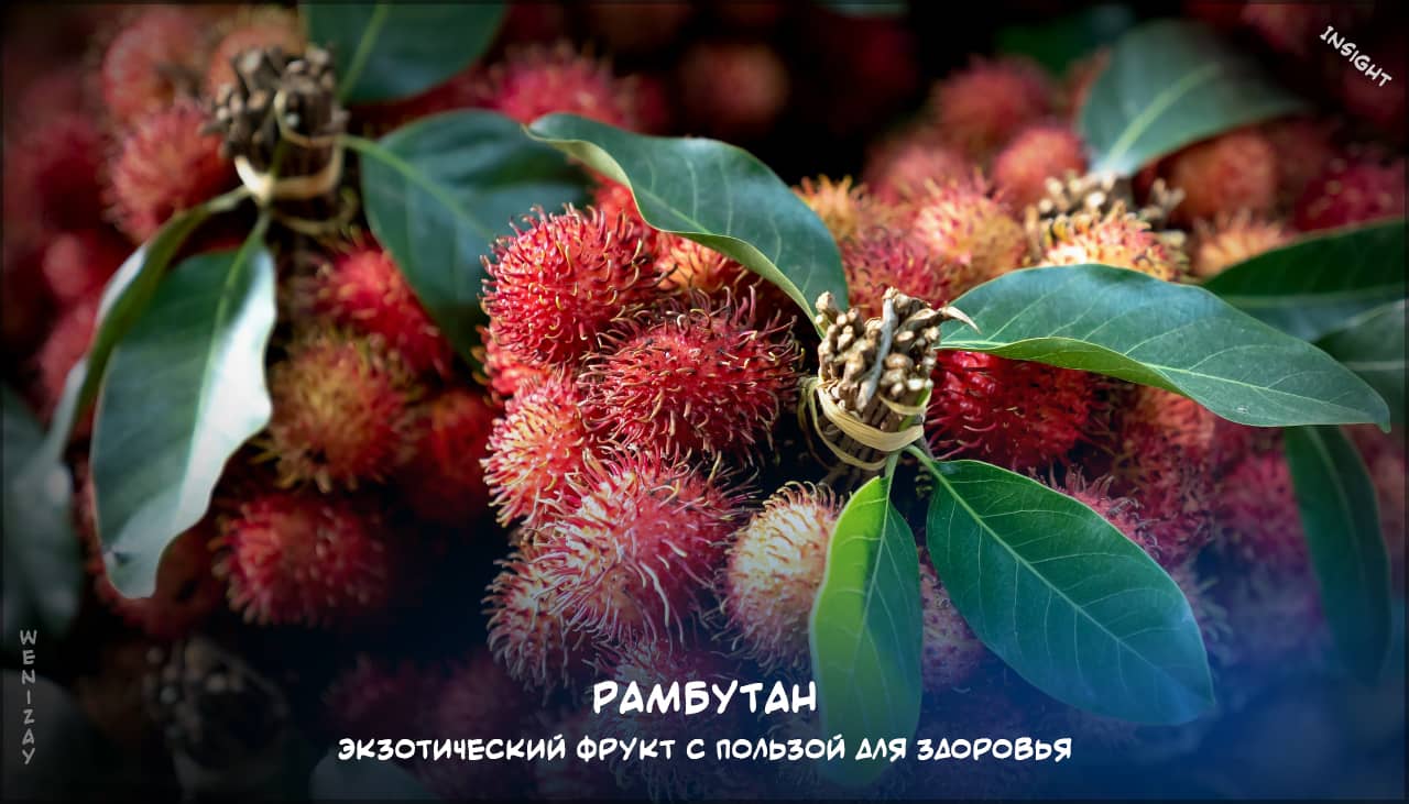 Рамбутан — тропический фрукт с сочной мякотью на weniZAYInsight экзотические фрукты, рамбутан, тропический плод, здоровье, витамины
